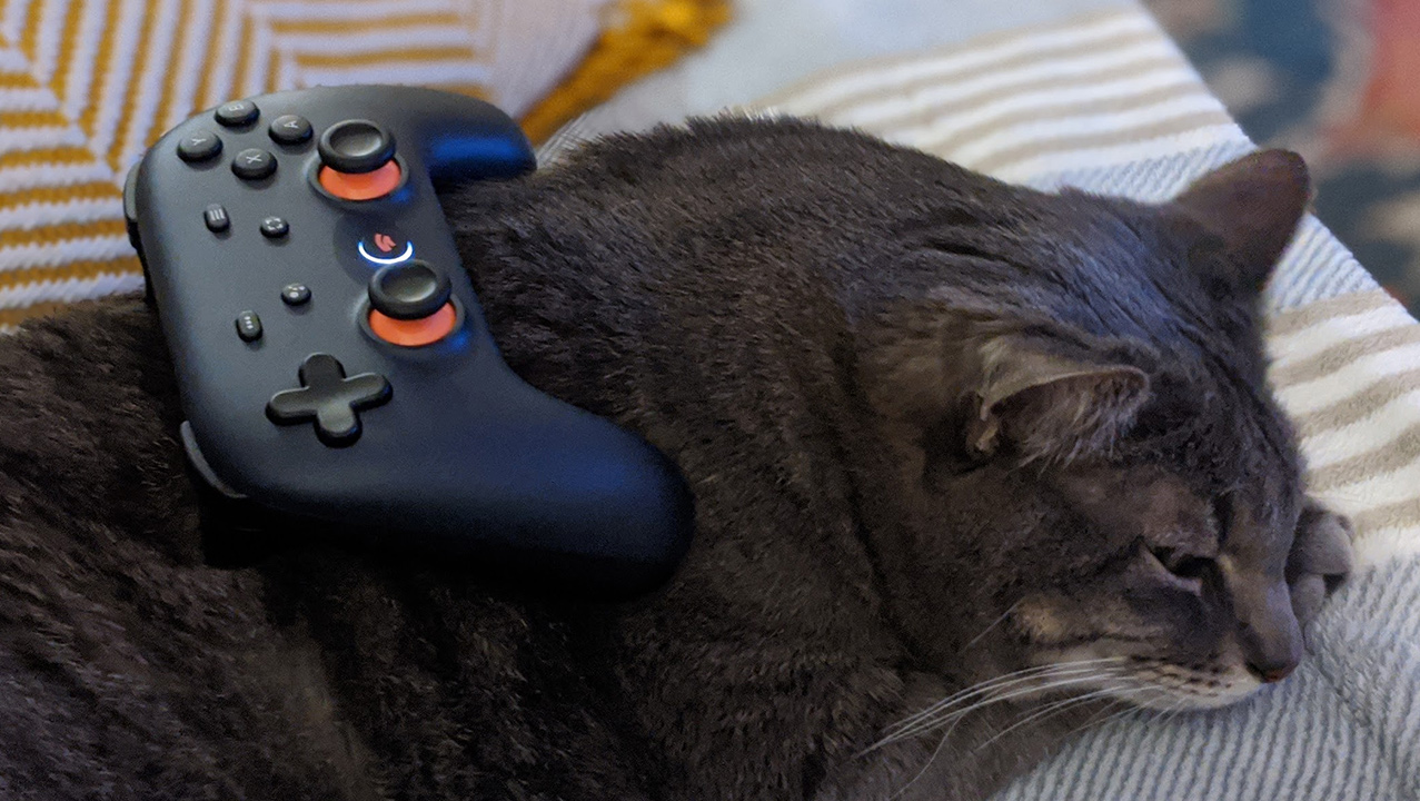 Google Stadia Controller - Cat for scale